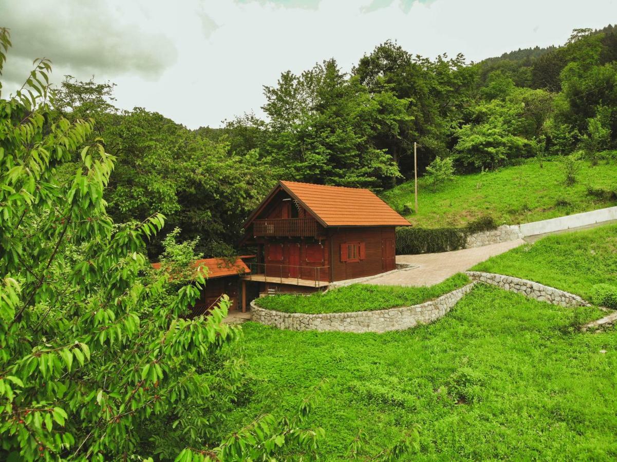 Lazec Country House Βίλα Pluznje Εξωτερικό φωτογραφία